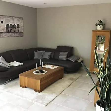 Bina Holiday home Surwold